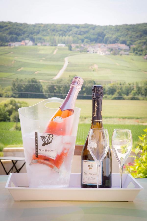 Domaine Bacchus Bed and Breakfast Reuil-sur-Marne Exterior foto